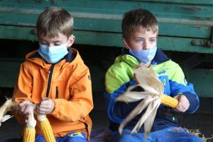 LIČKANJE KORUZE V IVANJEM SELU 17 FOTO LJUBO VUKELIČ